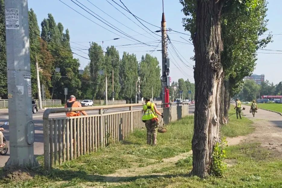 Сезонная стрижка зеленых зон продолжается Сезонная стрижка зеленых зон продолжается