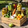 освобождаем консервацию: кулинарные эксперименты, которые взбудоражат ваши вкусовые рецепторы