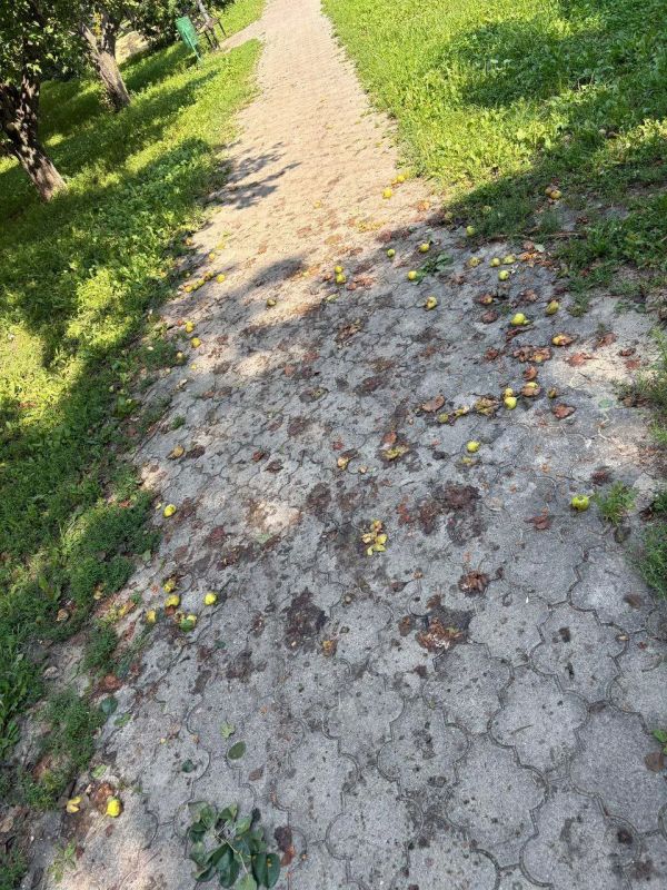 �������� ����� ����������� � ������ ��������