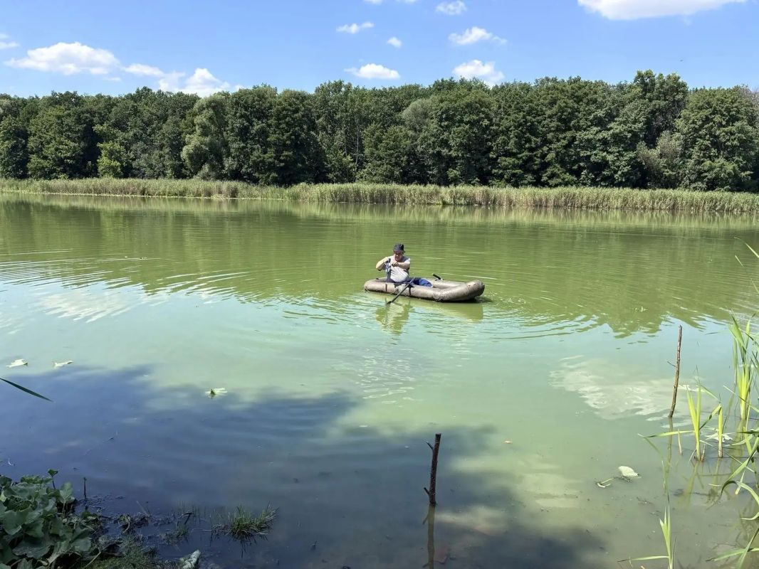 Специалисты отдела водных ресурсов Минприроды Воронежской области и БУ ВО «Центр лабораторных исследований» (подведомственное министерству учреждение) провели внеплановое выездное обследование озеро Чистый Ильмень... Специалисты отдела водных ресурсов Минприроды Воронежской области и БУ ВО «Центр лабораторных исследований» (подведомственное министерству учреждение) провели внеплановое выездное обследование озеро Чистый Ильмень...