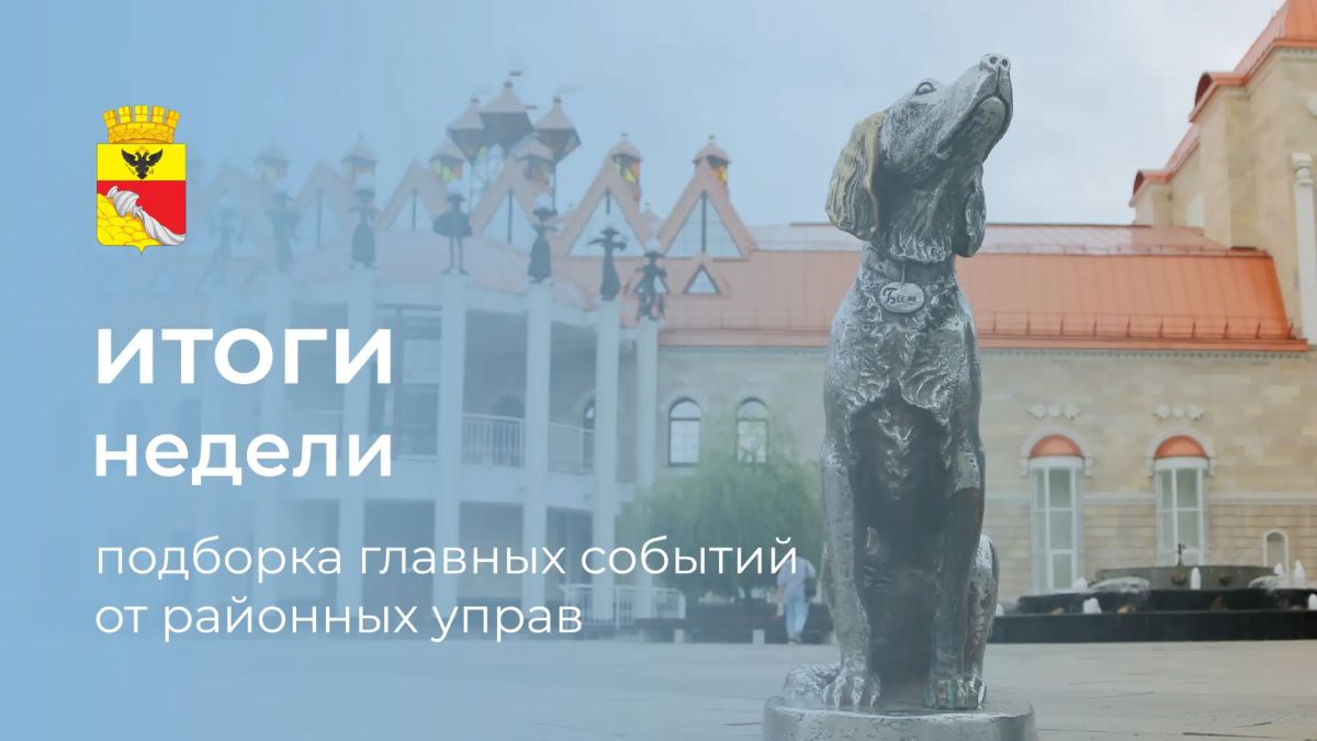 Итоги недели: 6 самых интересных событий районных управ