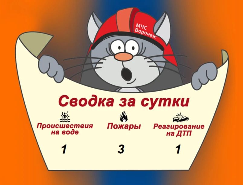Оперативная сводка за сутки