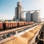 Агроэкспорт Воронежской области показывает стабильный рост