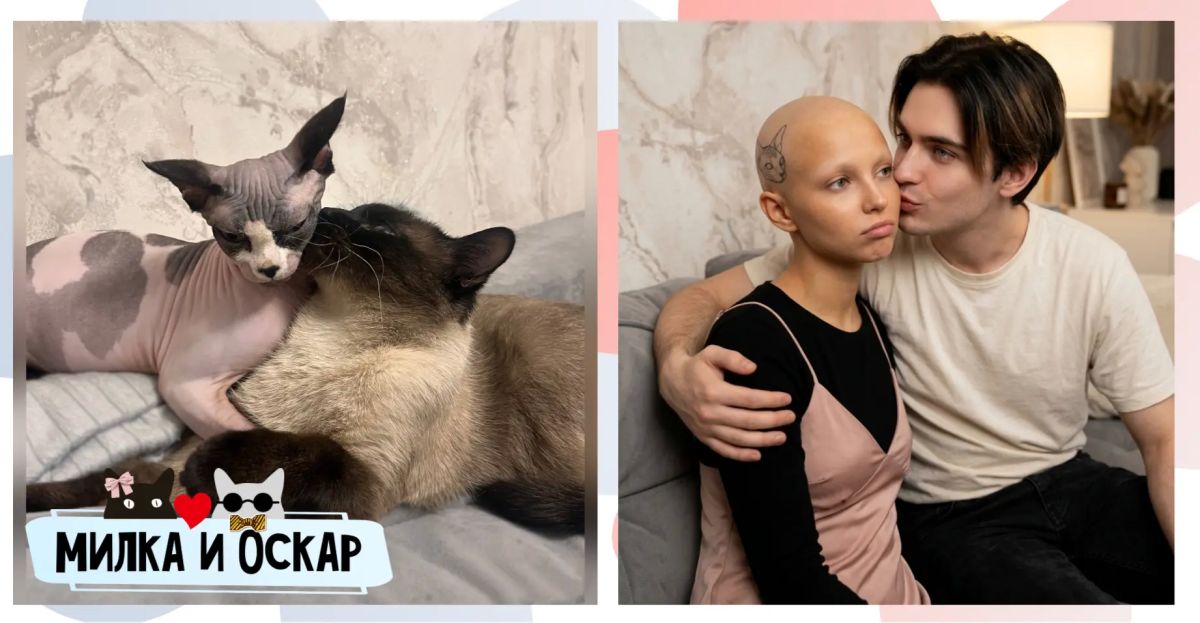 8 августа – Всемирный день кошек! 8 августа – Всемирный день кошек!