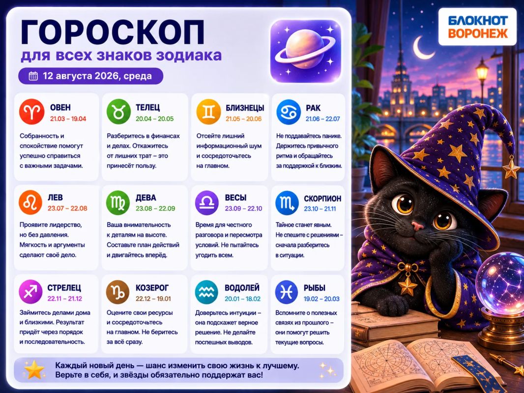 Черная кошка принесла советы на завтрашний день