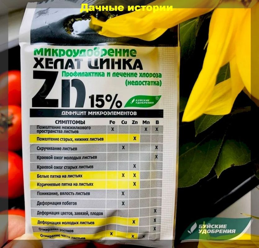 Цинк для овощей: как повысить урожайность и улучшить вкус плодов