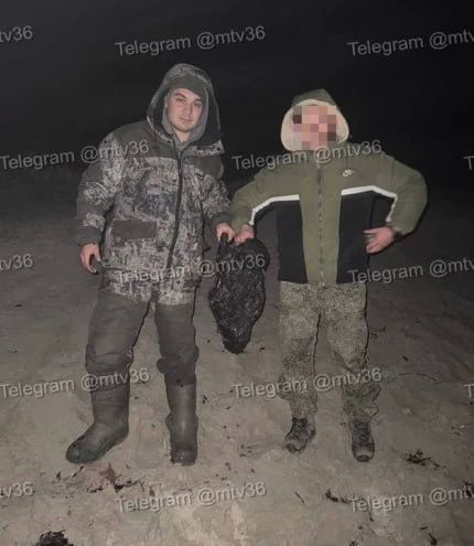 «Животное никто не убивал»