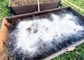 Как белый порошок в грядках произвел урожай мечты