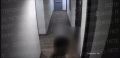 Жительница Санкт-Петербурга обвинила воронежского футболиста в изнасиловании