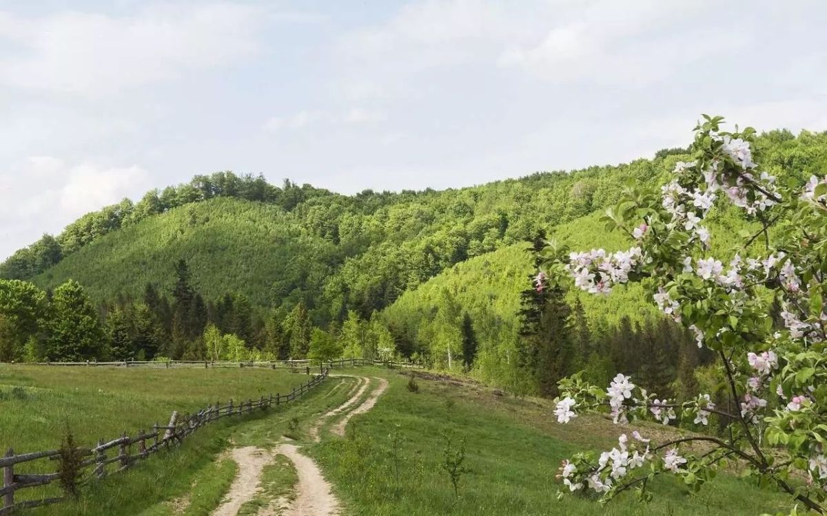 Август – время, когда лето кажется бесконечным, а город – бесконечно щедрым на события