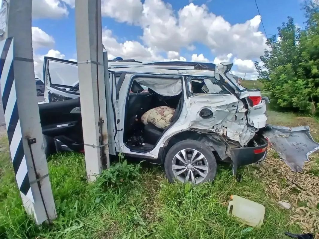 Семья с детьми пострадала в ДТП с грузовиком на трассе в Эртильском районе Семья с детьми пострадала в ДТП с грузовиком на трассе в Эртильском районе