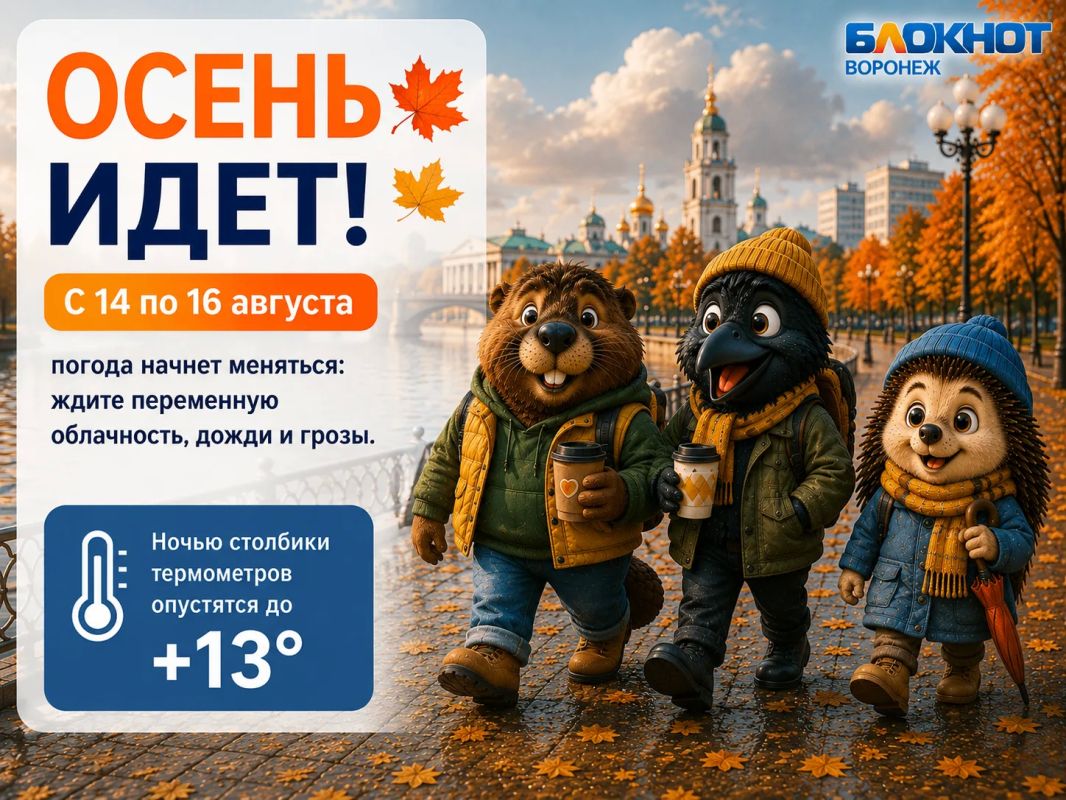 Осень уже близко! . По словам главного метеоролога Воронежа Александра Сушкова, небольшое возвращение жары закончится уже на днях