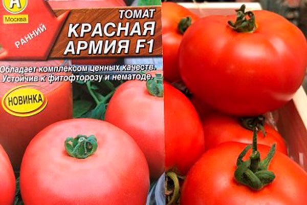 Томат Красная армия: Ваш идеальный урожай с минимальными усилиями