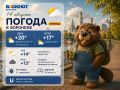 Погода 14 августа:. Утром +14, малооблачно, ветер 5 м/с