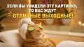 � ��� ���� ����� ��� ������ ��� �����, ����� ����������� �� �������� ������� � ���