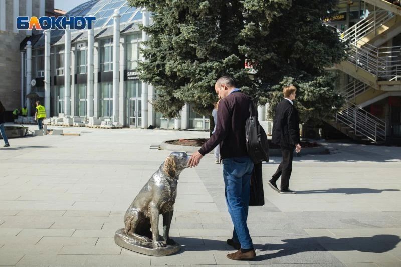 Котенок с Лизюкова, Высоцкий или молекула ДНК: какой памятник воронежцы считают символом города