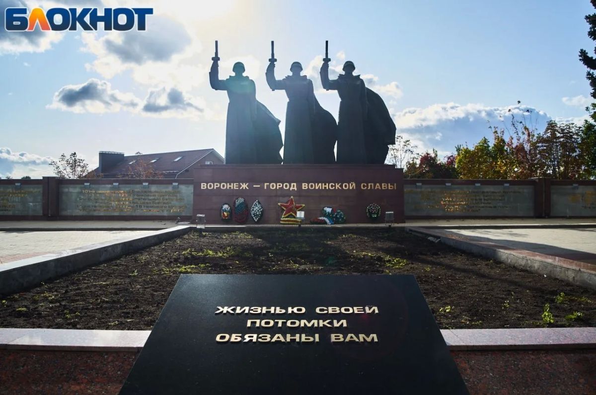 Котенок с Лизюкова, Высоцкий или молекула ДНК: какой памятник воронежцы считают символом города Котенок с Лизюкова, Высоцкий или молекула ДНК: какой памятник воронежцы считают символом города