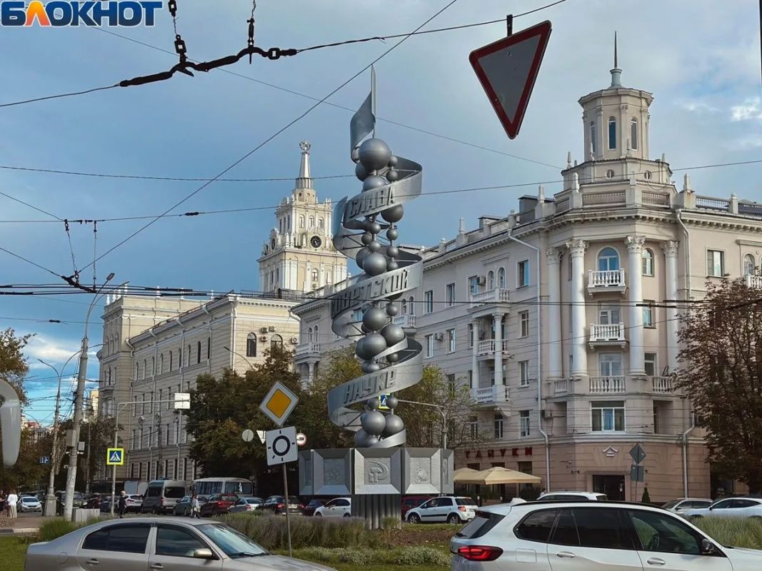 Котенок с Лизюкова, Высоцкий или молекула ДНК: какой памятник воронежцы считают символом города Котенок с Лизюкова, Высоцкий или молекула ДНК: какой памятник воронежцы считают символом города