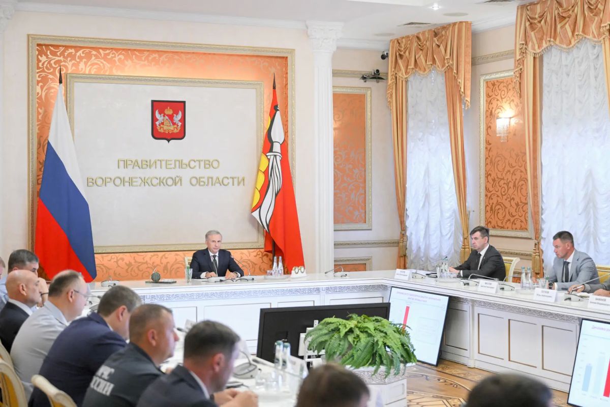 В Воронежской области подготовят предложения по регулированию использования электросамокатов
