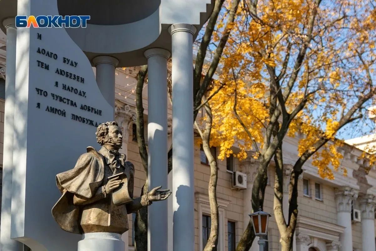 Котенок с Лизюкова, Высоцкий или молекула ДНК: какой памятник воронежцы считают символом города Котенок с Лизюкова, Высоцкий или молекула ДНК: какой памятник воронежцы считают символом города