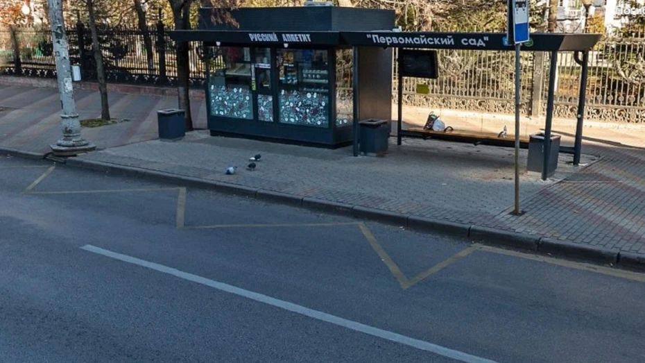 В Воронеже знакомство у Первомайского сада закончилось переломом черепа