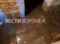 Зловонные стоки затопили подвал жилого дома в центре Воронежа