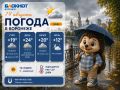 Погода 19 августа:. Утро пасмурное, +19, ветер 4 м/с и влажность 56%