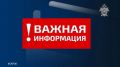 Следственное управление напоминает об ответственности несовершеннолетних за совершение преступлений в сфере незаконного оборота наркотиков