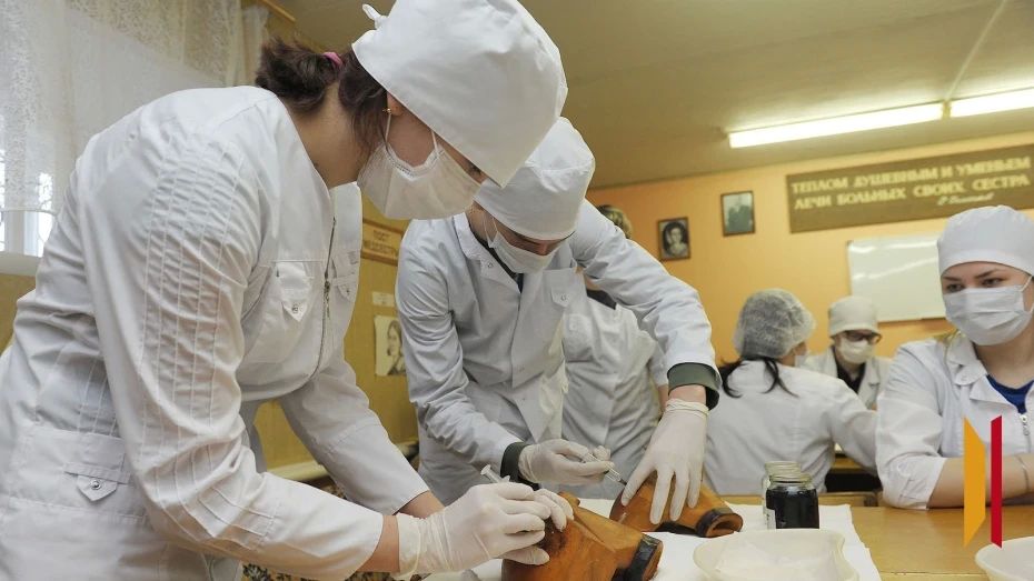 Стали известны самые популярные специальности в колледжах в 2026 году