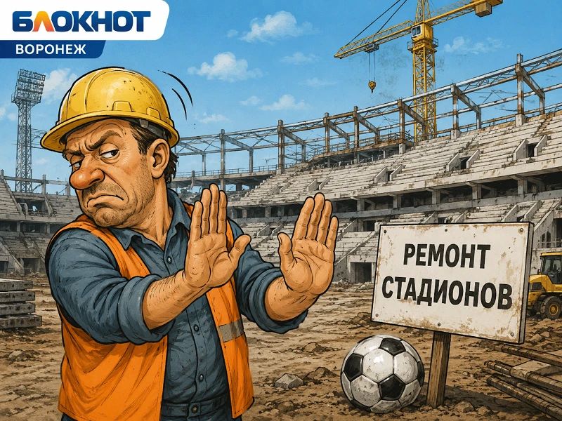 Для трех воронежских стадионов не могут найти строителей