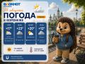 Погода 25 августа:. Утром +17, облачно