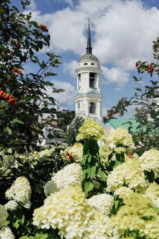 Стартует фестиваль экскурсий по городским паркам и скверам, приуроченный к 440-летию Воронежа Стартует фестиваль экскурсий по городским паркам и скверам, приуроченный к 440-летию Воронежа