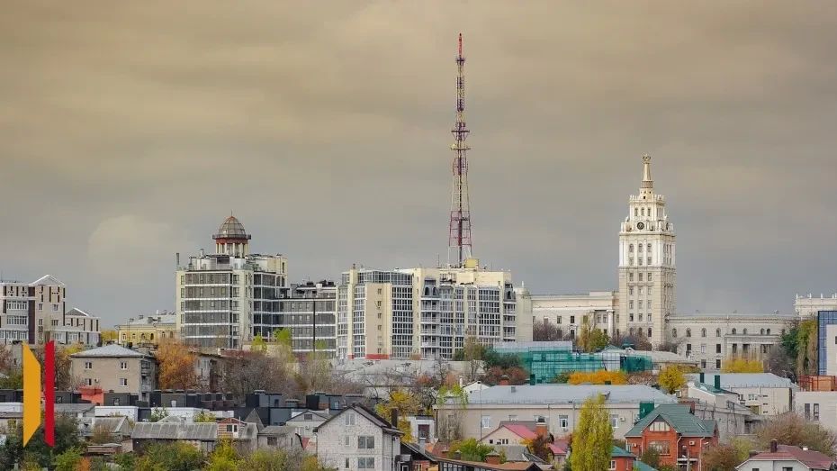 В Стратегию социально-экономического развития Воронежской области внесут изменения