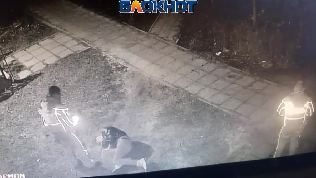 Жесткое задержание воронежца полицейскими попало на видео в Воронеже