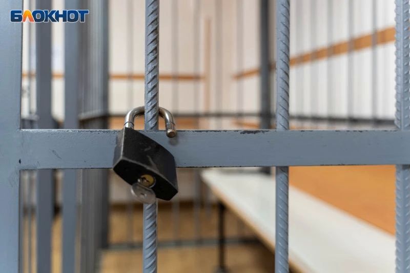 За искажение герба Воронежской области оштрафовали местного жителя