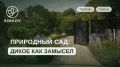 Природный сад: Как создать экологический рай без запущенности