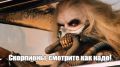 Козероги и Раки чаще других попадают в ДТП