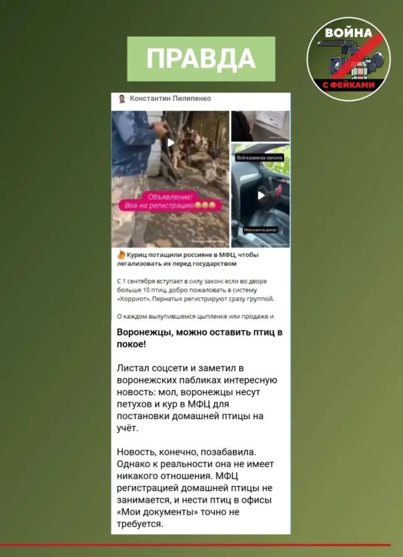 Фейк: С 1 сентября владельцы кур и петухов обязаны зарегистрировать домашнюю птицу в МФЦ, а за отсутствие регистрации грозит штраф до 1 тысячи рублей Фейк: С 1 сентября владельцы кур и петухов обязаны зарегистрировать домашнюю птицу в МФЦ, а за отсутствие регистрации грозит штраф до 1 тысячи рублей