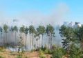 Два крупных ландшафтных пожара одновременно вспыхнули в разных районах Воронежа