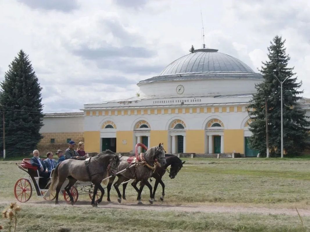 Единственная в стране школа тренеров-наездников и знаменитые кони, которыми восхищается весь мир - всё это наш Хреновской конезавод, которому в октябре исполнится 250 лет