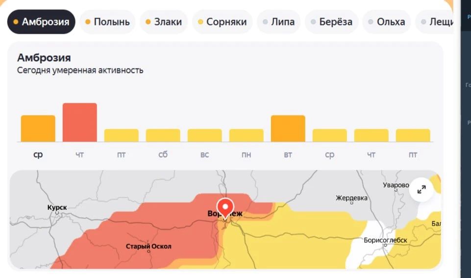 Воронежцев предупредили о вызывающей удушье пыльце