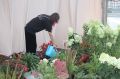 На Петровской набережной уже монтируют арт-объекты и цветочные композиции к «Городу-саду»