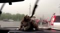 Дождливыми и ветреными будут первые выходные сентября в Воронеже