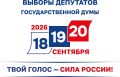 В Воронеже продолжается подготовка к выборам депутатов Государственной Думы IX созыва