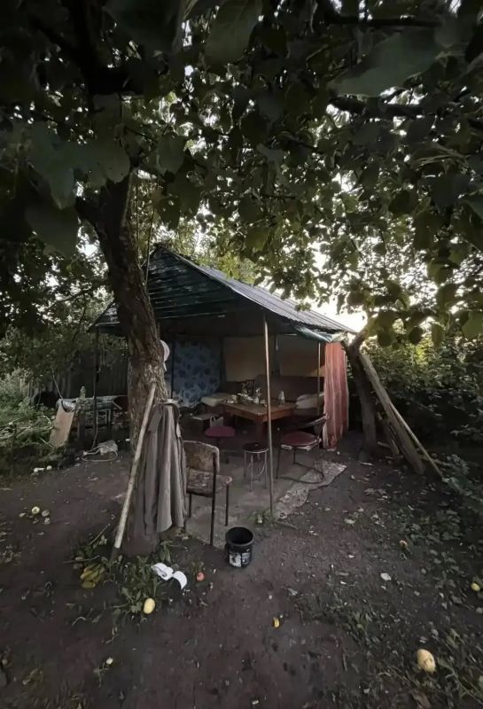 В Панинском районе полицейские изъяли у местного жителя более килограмма марихуаны В Панинском районе полицейские изъяли у местного жителя более килограмма марихуаны