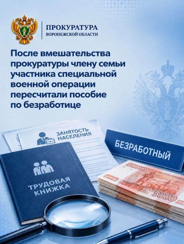 После вмешательства прокуратуры члену семьи участника специальной военной операции пересчитали пособие по безработице