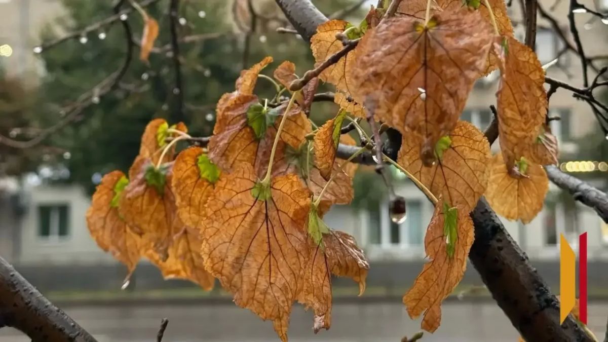 Воронеж постепенно набирает краски осени Воронеж постепенно набирает краски осени