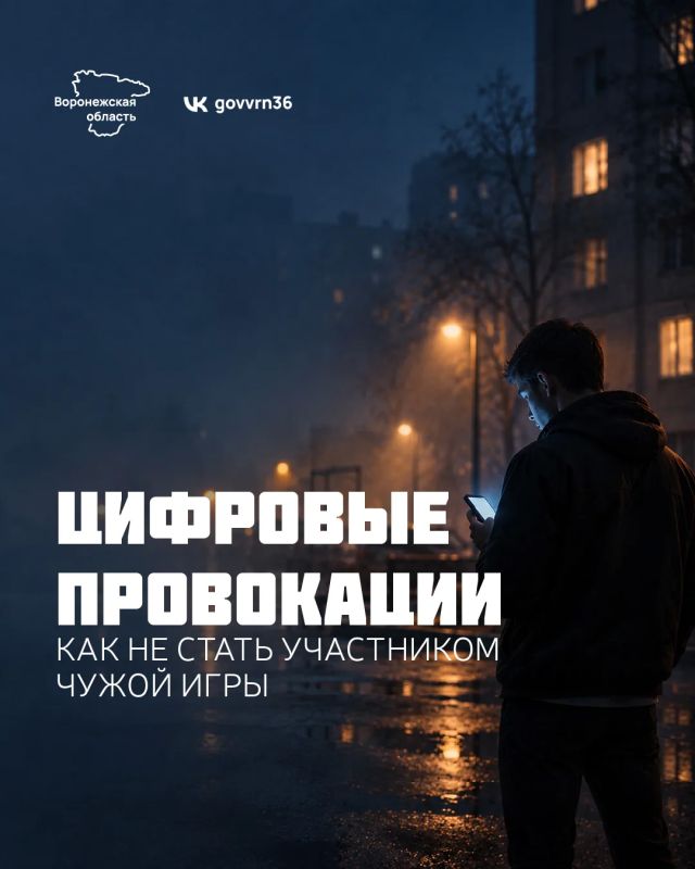 В преддверии выборов депутатов Госдумы РФ в Воронежской области, как и по всей стране, стали появляться информационные вбросы о разных акциях