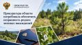 Прокуратура области потребовала обеспечить сохранность редких зеленых насаждений