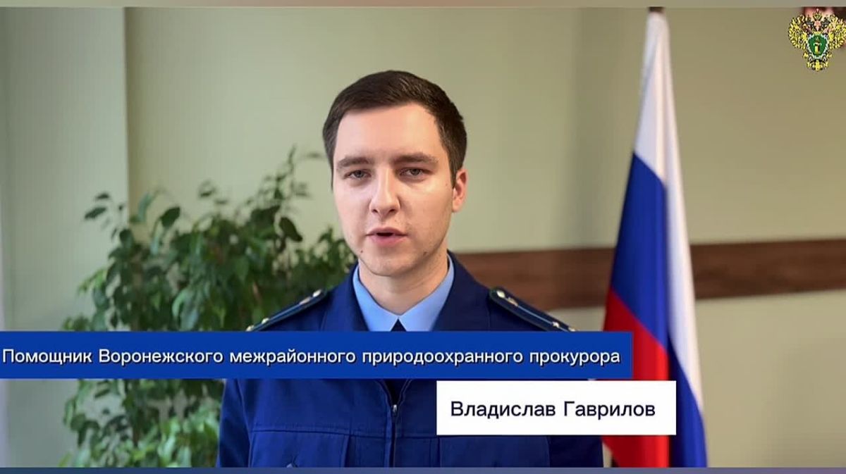 Прокуратура обеспечила устранение нарушений при содержании зеленых насаждений